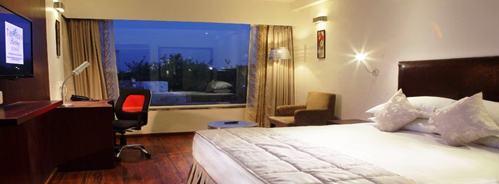 272/The Fern Residency - Jodhpur 4.jpg